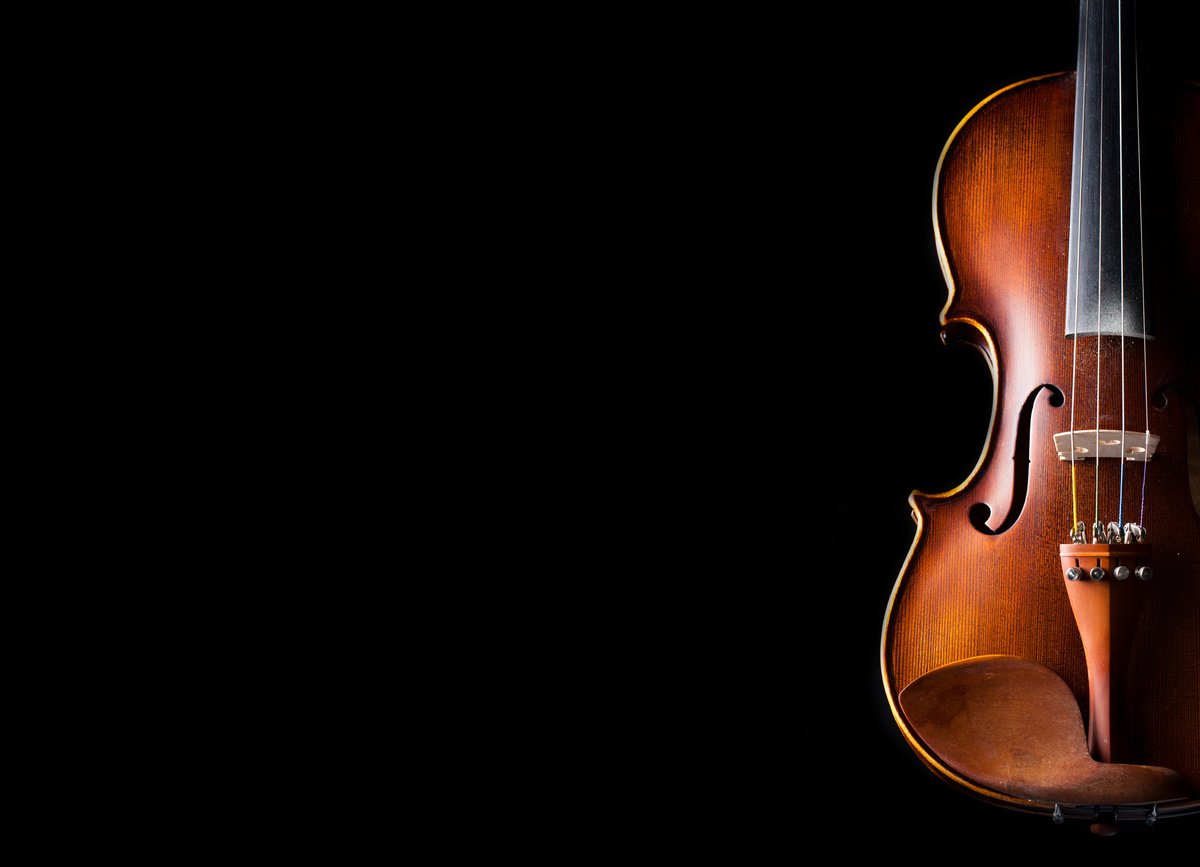 Violin